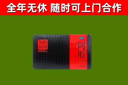 南安市回收阿胶